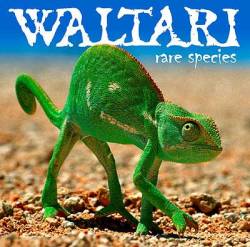 Waltari : Rare Species